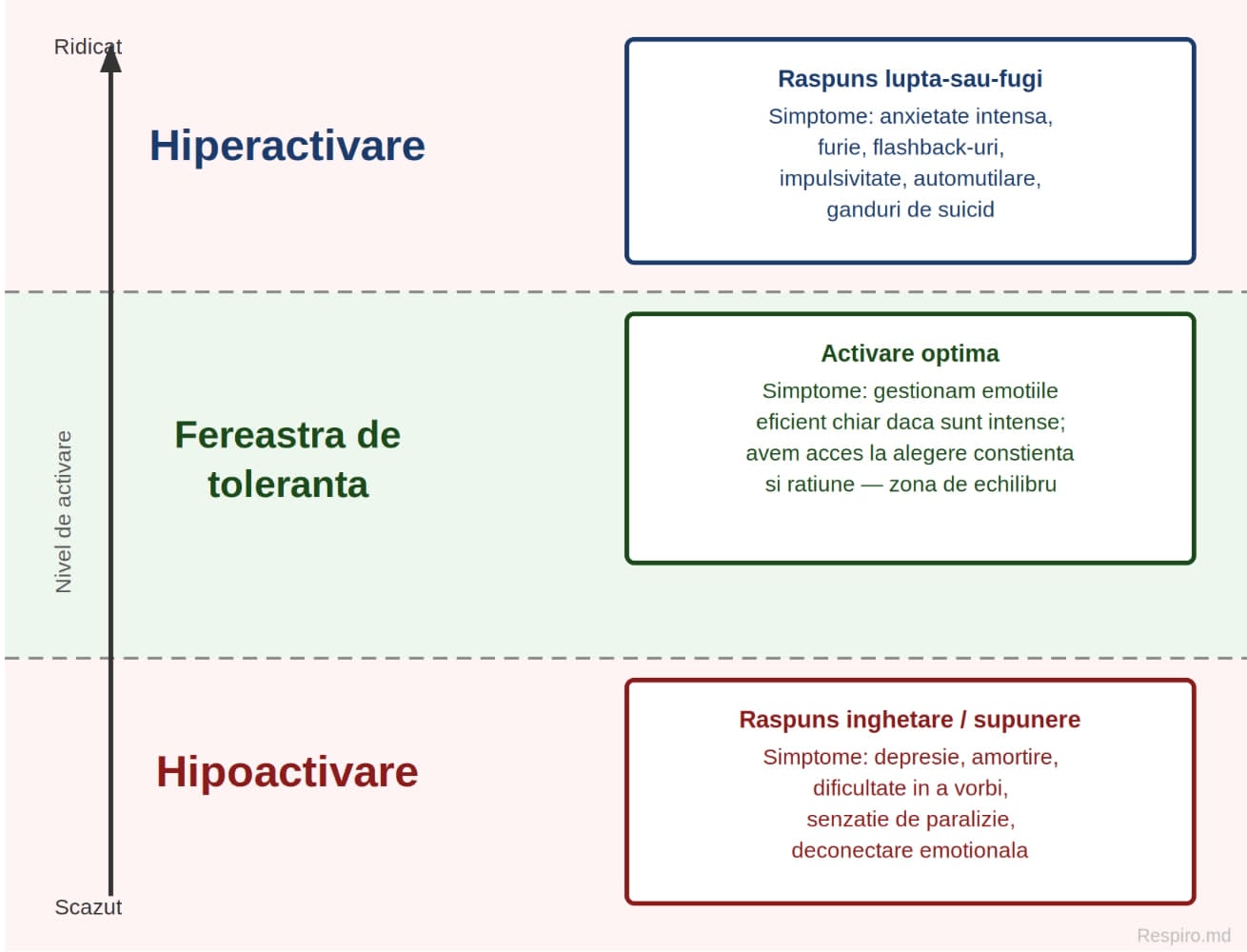 Fereastra de toleranta